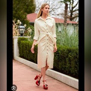 Antonio Melani Roxanne Career Natural Tie Waist Dress Size 2